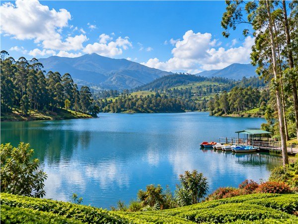 Blue lake and green mountains in Ooty